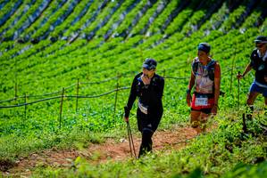 BIB: 
                            <button type="button" onclick="openModal(19163642)" class="btn btn-primary btn-sm float-right btn-popup" data-toggle="modal" data-target=".modal-high-quality">
                        <i class="fas fa-shopping-cart"></i> Add to Cart
                    </button>
                                            <button type="button" onclick="isThisMe(19163642, true)" class="btn btn-success btn-sm float-right btn-popup btn-isme hidden" data-toggle="tooltip" data-placement="bottom" title="นี่คือรูปของคุณใช่ไหม คลิกที่นี่เพื่อเอาเข้าอัลบั้ม">
                        <i class="fas fa-plus"></i> Add to album
                    </button>
                    <button type="button" onclick="isThisMe(19163642, false)" class="btn btn-warning btn-sm float-right btn-popup btn-isnotme hidden">
                        <i class="fas fa-ban"></i> Remove from album
                    </button>